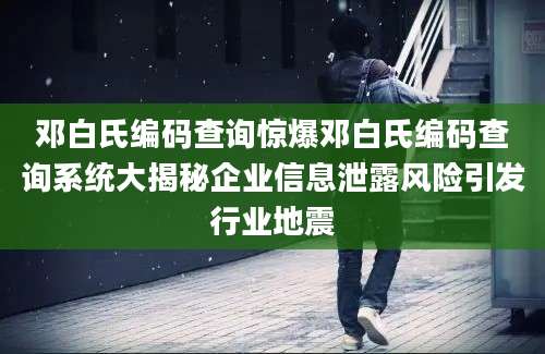 邓白氏编码查询惊爆邓白氏编码查询系统大揭秘企业信息泄露风险引发行业地震