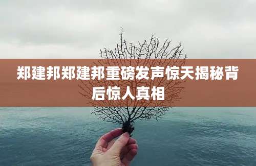 郑建邦郑建邦重磅发声惊天揭秘背后惊人真相