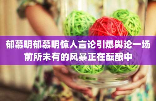 郁慕明郁慕明惊人言论引爆舆论一场前所未有的风暴正在酝酿中