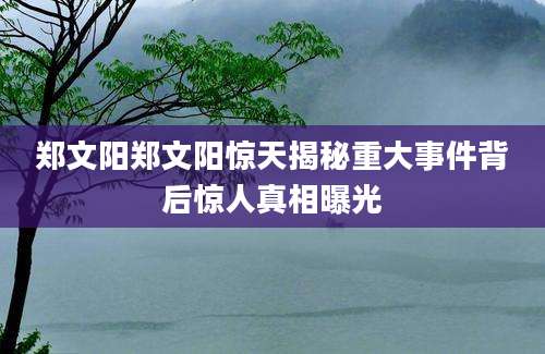 郑文阳郑文阳惊天揭秘重大事件背后惊人真相曝光