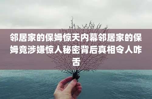 邻居家的保姆惊天内幕邻居家的保姆竟涉嫌惊人秘密背后真相令人咋舌