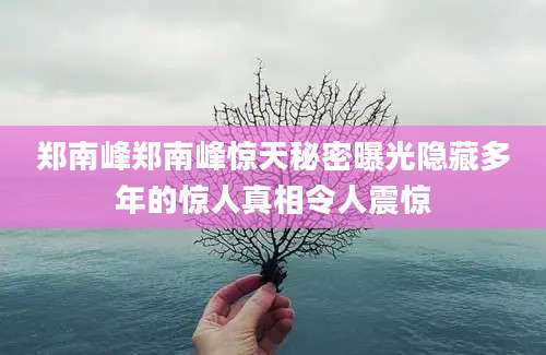 郑南峰郑南峰惊天秘密曝光隐藏多年的惊人真相令人震惊