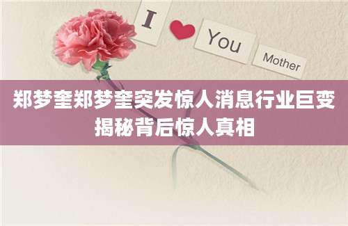 郑梦奎郑梦奎突发惊人消息行业巨变揭秘背后惊人真相