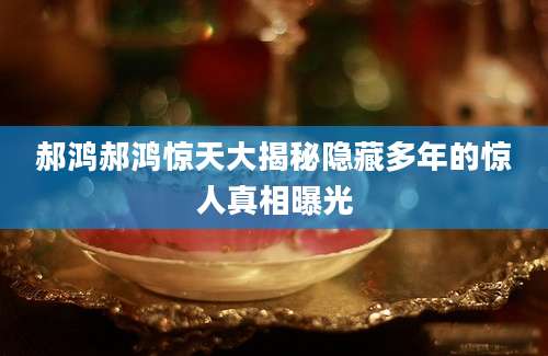 郝鸿郝鸿惊天大揭秘隐藏多年的惊人真相曝光