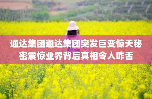 通达集团通达集团突发巨变惊天秘密震惊业界背后真相令人咋舌
