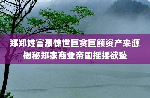 郑郑姓富豪惊世巨贪巨额资产来源揭秘郑家商业帝国摇摇欲坠