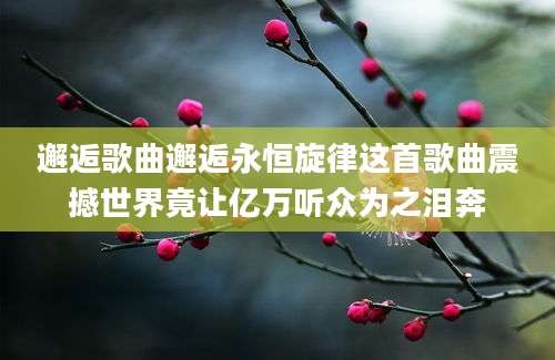 邂逅歌曲邂逅永恒旋律这首歌曲震撼世界竟让亿万听众为之泪奔