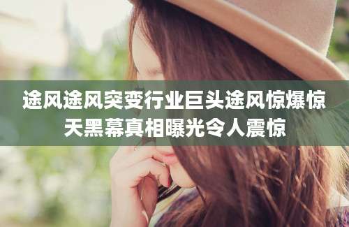途风途风突变行业巨头途风惊爆惊天黑幕真相曝光令人震惊