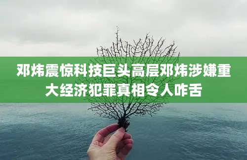 邓炜震惊科技巨头高层邓炜涉嫌重大经济犯罪真相令人咋舌